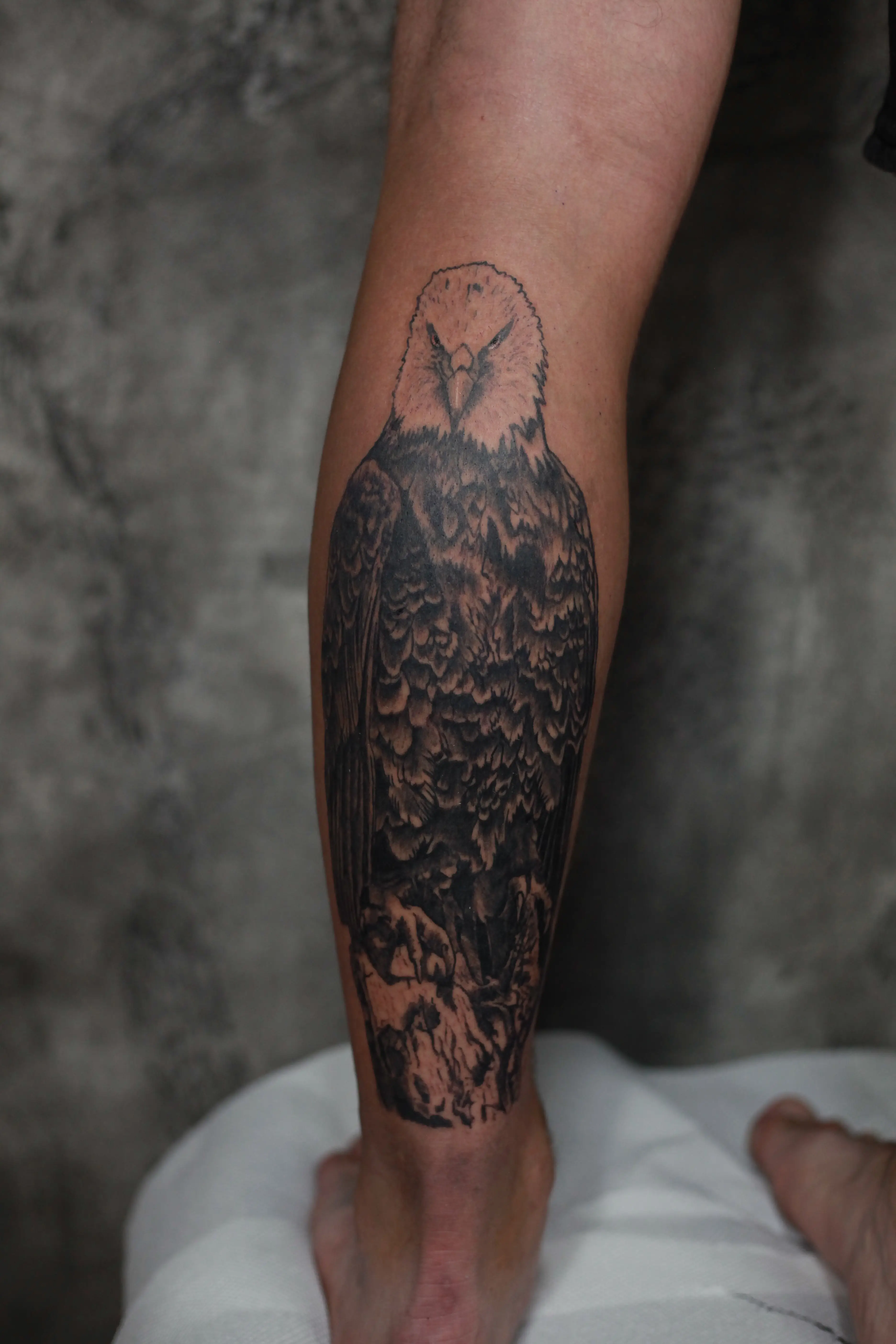 Tetovaža Black and grey orao - Black & Grey rad Eternal Art studio